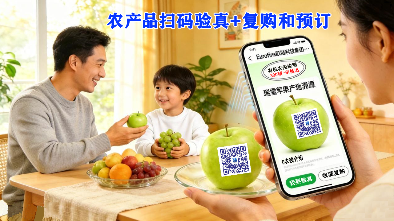 大联盟特色